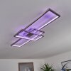 Plafonnier Momahaki LED Nickel mat, 1 lumière, Télécommandes