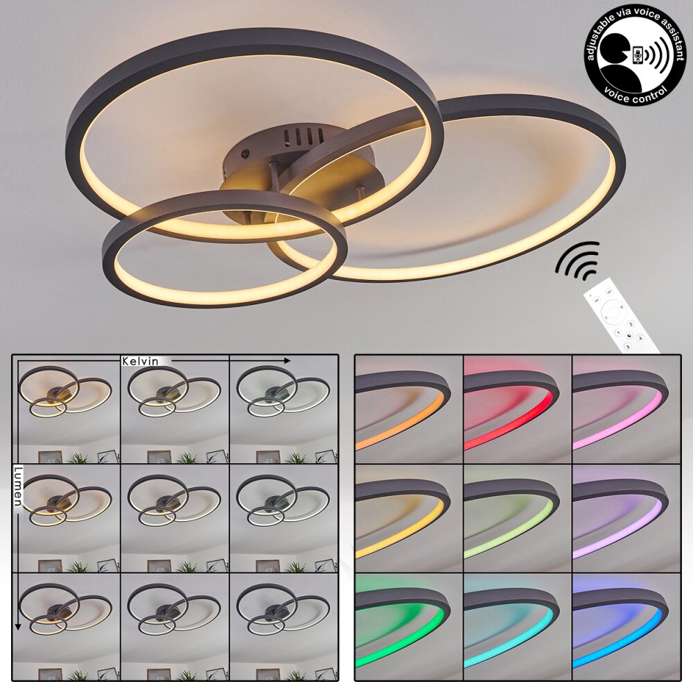 Plafonnier Moemoto LED Anthracite, 1 lumière, Télécommandes main product photo