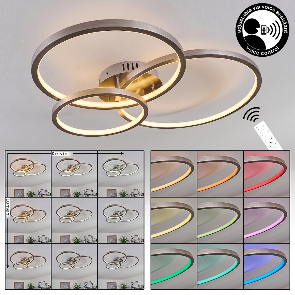 Plafonnier Moemoto LED Nickel mat, 1 lumière, Télécommandes main product photo