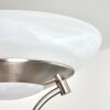 Lampadaire Mairoa LED Nickel mat, 2 lumières