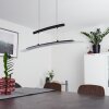 Suspension Balcairn LED Noir, 4 lumières