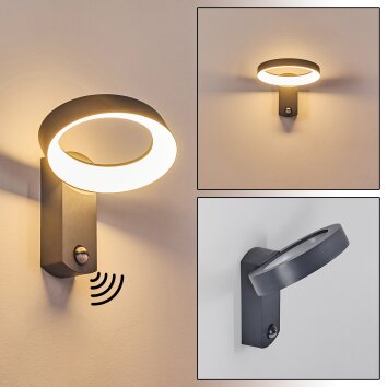 Applique murale d'extérieur Carinola LED Anthracite, 1 lumière, Détecteur de mouvement Applique murale d'extérieur Carinola LED Anthracite, 1 lumière, Détecteur de mouvement