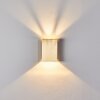 Applique murale d'extérieur Benin LED Laiton, 1 lumière