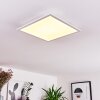 Panneau LED Badia Blanc, 2 lumières