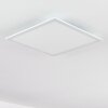 Plafonnier Gallitos LED Blanc, 1 lumière, Télécommandes, Changeur de couleurs