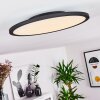 Plafonnier Nexo LED Noir, 1 lumière, Télécommandes