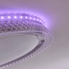 Plafonnier Fondaco LED Blanc, 1 lumière, Télécommandes, Changeur de couleurs