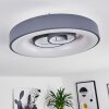 Plafonnier Gabbiana LED Gris, Blanc, 1 lumière, Télécommandes