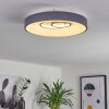 Plafonnier Gabbiana LED Gris, Blanc, 1 lumière, Télécommandes