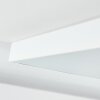 Panneau LED Pedemonte Blanc, 1 lumière