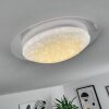 Plafonnier Rosenga LED Blanc, 1 lumière, Télécommandes