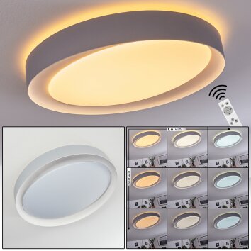 Plafonnier Beade LED Gris, Blanc, 1 lumière, Télécommandes, Changeur de couleurs