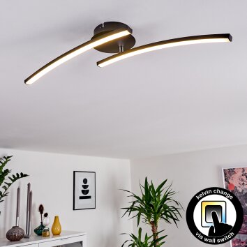 Plafonnier Aringa LED Noir, 1 lumière Plafonnier Aringa LED Noir, 1 lumière