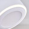 Plafonnier Appleton LED Blanc, 2 lumières