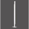 Lampadaire Paul Neuhaus Q-TOWER LED Aluminium, 2 lumières, Télécommandes