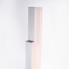 Lampadaire Paul Neuhaus Q-TOWER LED Aluminium, 2 lumières, Télécommandes