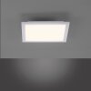 Panneau LED Leuchten Direkt FLAT Blanc, 2 lumières