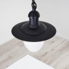 Lampe d'extérieur Surnu Noir, 1 lumière