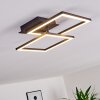 Plafonnier Thara LED Noir, 1 lumière