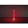Lampe de table Reality Rico LED Chrome, 1 lumière, Télécommandes, Changeur de couleurs