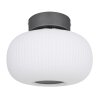 Plafonnier Globo LED Anthracite, Nickel mat, 1 lumière