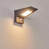 Applique murale d'extérieur Matlava LED Anthracite, Blanc, 1 lumière, Détecteur de mouvement