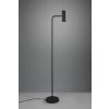 Lampadaire Trio Marley Noir, 1 lumière