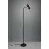 Lampadaire Trio Marley Noir, 1 lumière