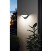 Applique murale Eglo BELCREDA LED Anthracite, 1 lumière, Détecteur de mouvement