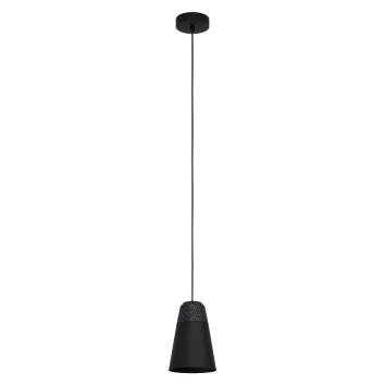 Suspension Eglo CANTERRAS Noir, 1 lumière