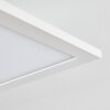 Plafonnier Salmi LED Blanc, 1 lumière, Télécommandes