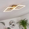 Plafonnier Batuna LED Nickel mat, 1 lumière