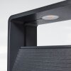 Borne lumineuse Dubona LED Anthracite, 1 lumière