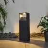 Borne lumineuse Dubona LED Anthracite, 1 lumière