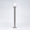 Borne lumineuse Enara Nickel mat, 1 lumière