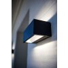 Applique murale d'extérieur Lutec GEMINI LED Noir, 2 lumières