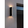 Applique murale d'extérieur Lutec LEO LED Noir, 2 lumières