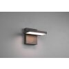 Applique murale d'extérieur Trio Horton LED Anthracite, 1 lumière