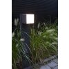 Borne lumineuse Lutec CUBA LED Anthracite, 1 lumière