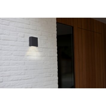 Applique murale d'extérieur Lutec GEMINI LED Anthracite, 1 lumière