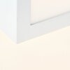 Plafonnier Brilliant Cubix LED Blanc, 1 lumière