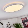 Panneau LED Boyero Blanc, 1 lumière