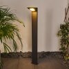 Borne lumineuse Matlava LED Anthracite, 1 lumière