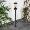 Borne lumineuse Riola Anthracite, 1 lumière