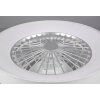 Ventilateur de plafond Reality Farsund LED Blanc, 1 lumière, Télécommandes