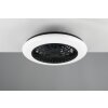 Ventilateur de plafond Reality Stralsund LED Noir, 1 lumière, Télécommandes