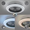 Ventilateur de plafond Reality Stralsund LED Noir, 1 lumière, Télécommandes