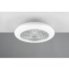 Ventilateur de plafond Reality Stralsund LED Titane, 2 lumières, Télécommandes