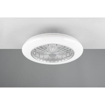 Ventilateur de plafond Reality Stralsund LED Titane, 2 lumières, Télécommandes