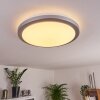 Plafonnier Sapioris LED Blanc, 1 lumière